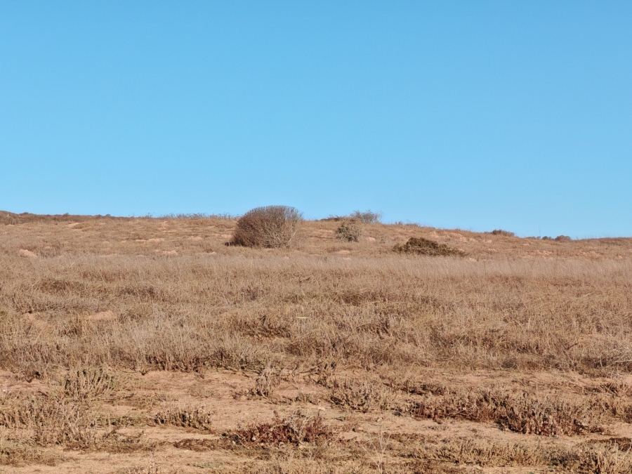 0 Bedroom Property for Sale in Langebaan Country Estate Western Cape